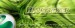 GreenSE_2.JPG